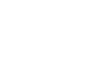Trans South Logo