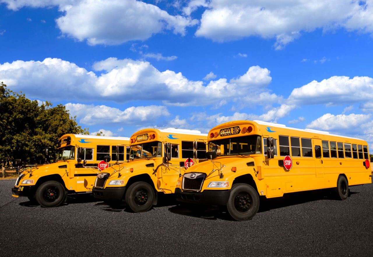 fleet of buses